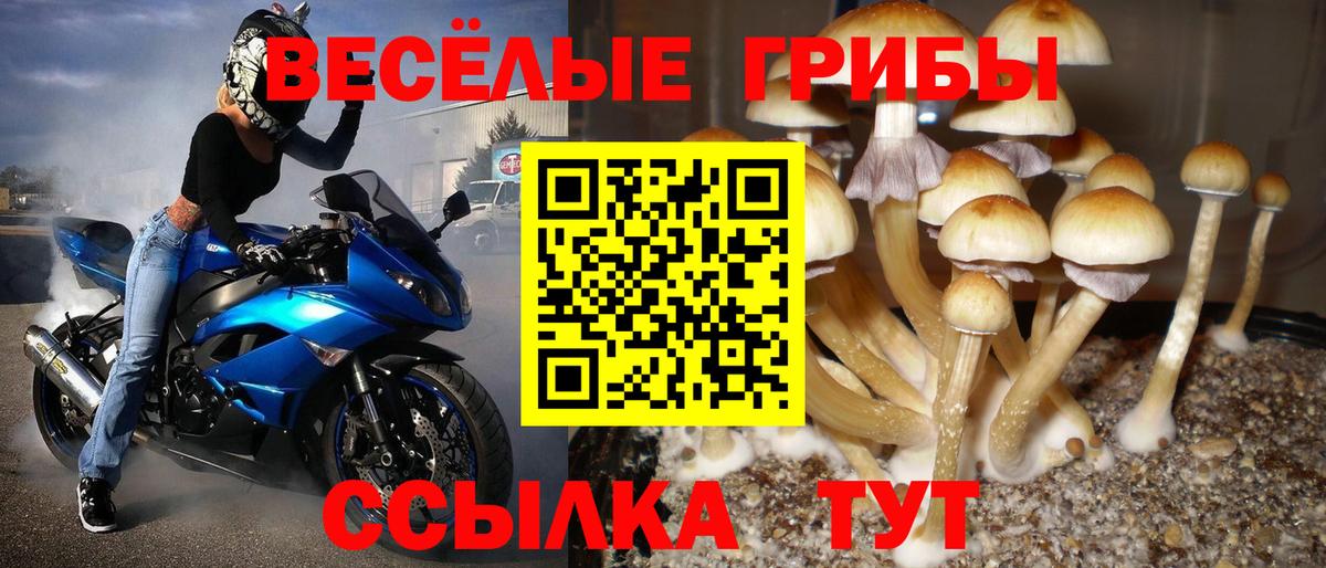 Псилоцибиновые грибы мухоморы Костомукша