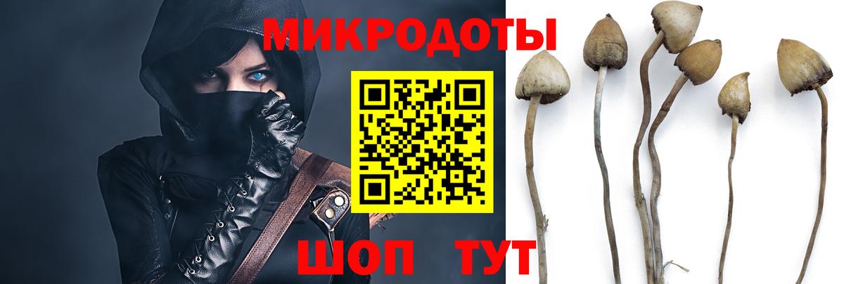 Псилоцибиновые грибы ЛСД  Вход с VPN  Костомукша 